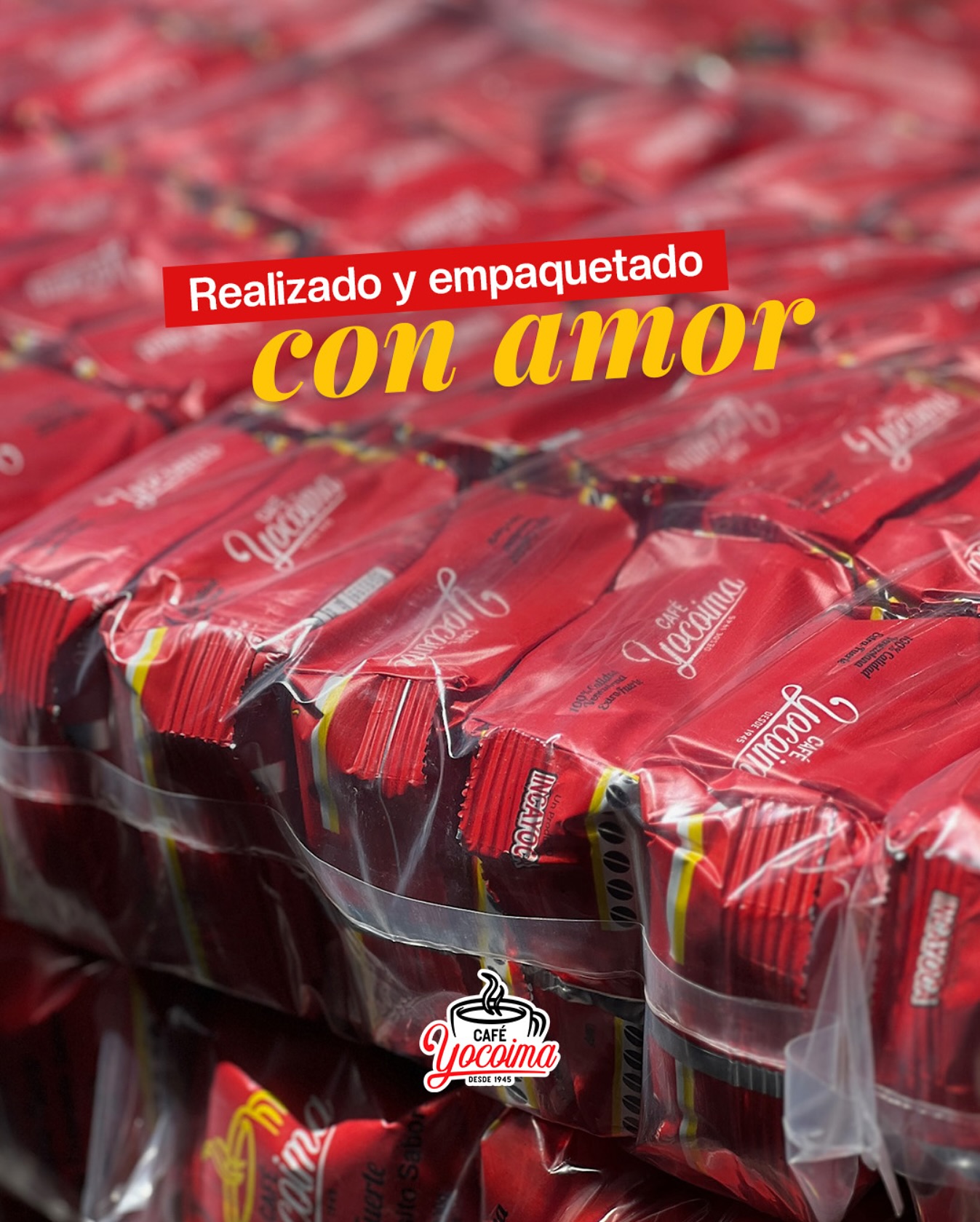 Descripción de la imagen